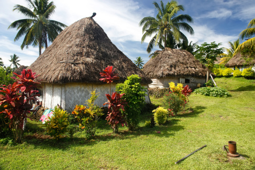 Bachelor of Science [B.Sc] Anthropology