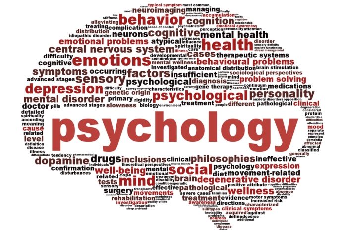Bachelor of Science in Psychology (Honours)