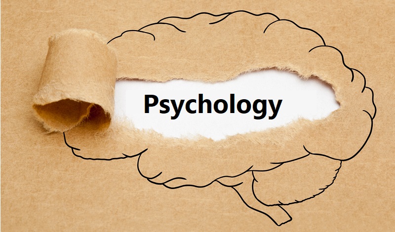 Bachelor of Arts in Psychology (Honours)