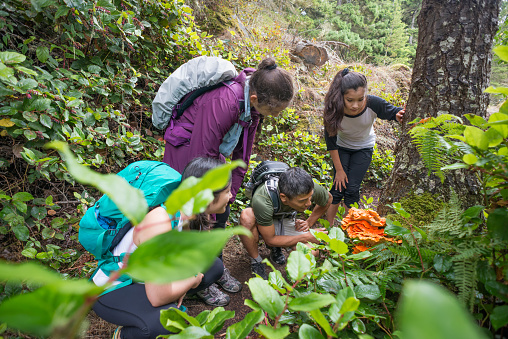 Master of Science [M.Sc] Environmental Studies