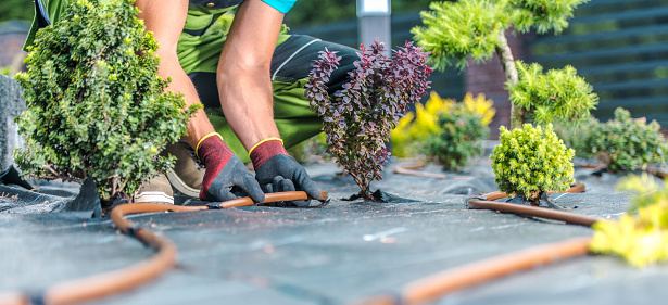 Horticultural Technician