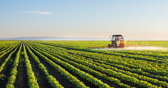 Bachelor of Science in Agriculture