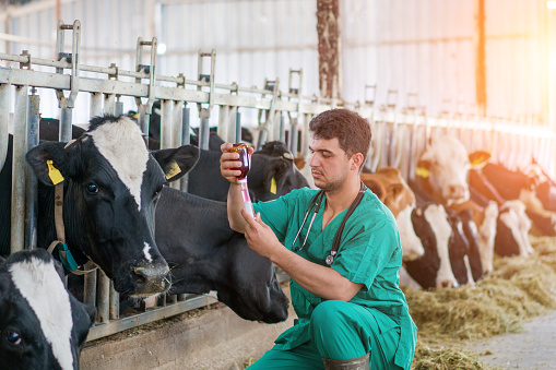 Bachelor of Science in Animal Health