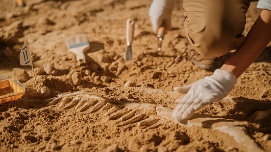 Archaeological Science DPhil